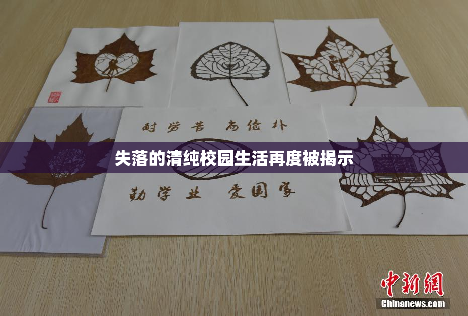 失落的清纯校园生活再度被揭示