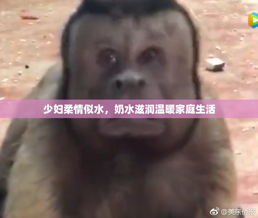 少妇柔情似水，奶水滋润温暖家庭生活