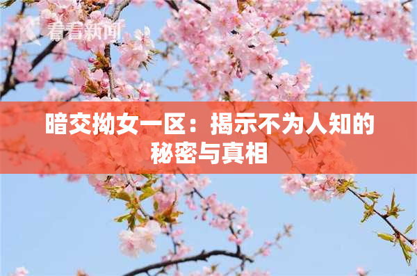 暗交拗女一区：揭示不为人知的秘密与真相