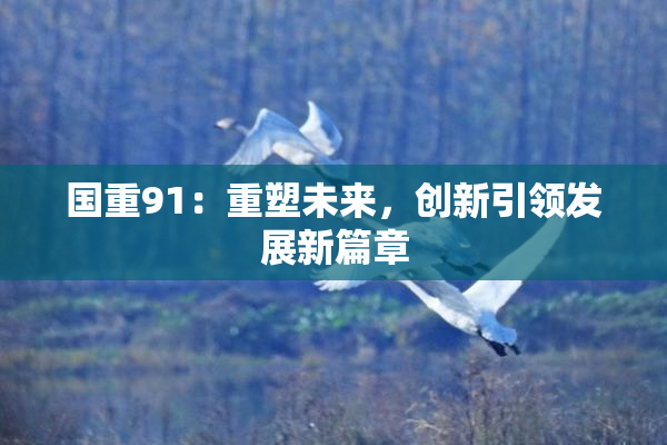 国重91：重塑未来，创新引领发展新篇章