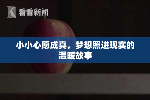 小小心愿成真，梦想照进现实的温暖故事