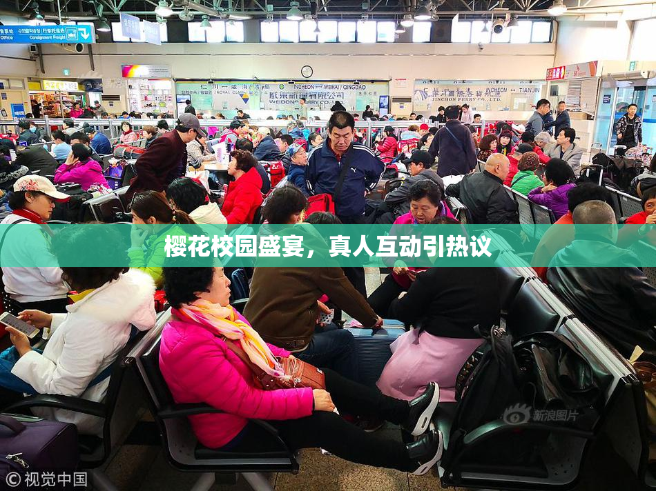 樱花校园盛宴，真人互动引热议