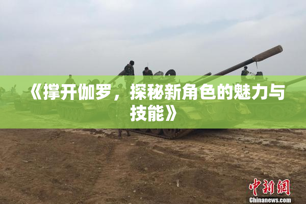 《撑开伽罗，探秘新角色的魅力与技能》