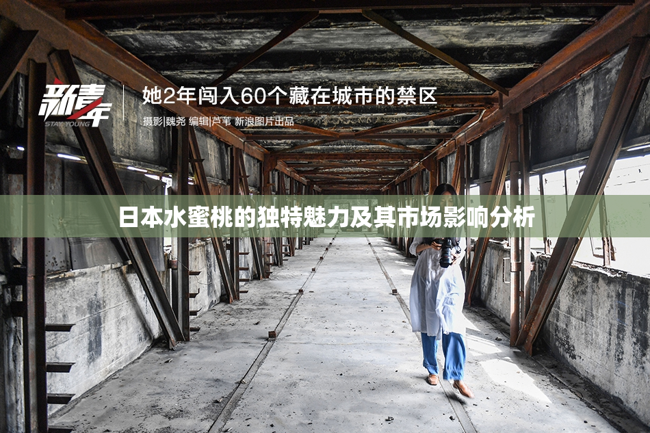日本水蜜桃的独特魅力及其市场影响分析