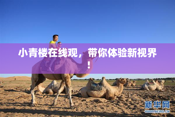 小青楼在线观，带你体验新视界！