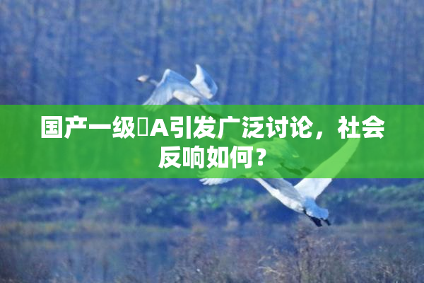 国产一级婬A引发广泛讨论，社会反响如何？