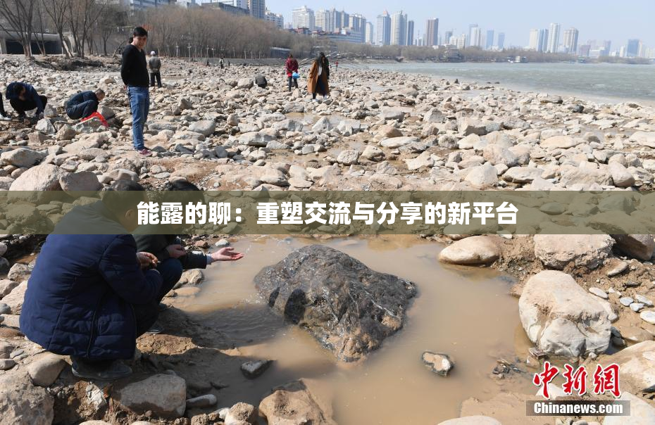 能露的聊：重塑交流与分享的新平台