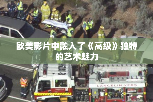欧美影片中融入了《高级》独特的艺术魅力