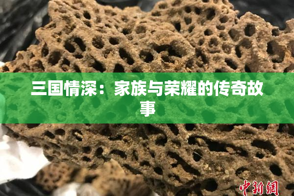 三国情深：家族与荣耀的传奇故事