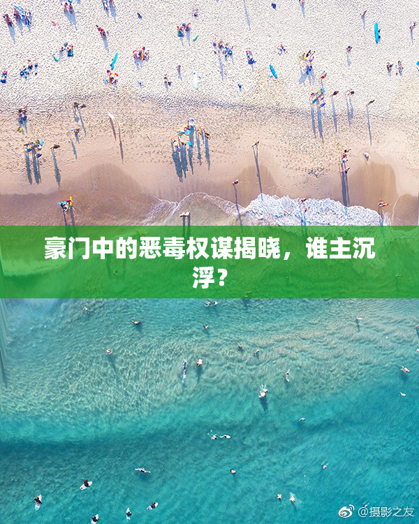 豪门中的恶毒权谋揭晓，谁主沉浮？