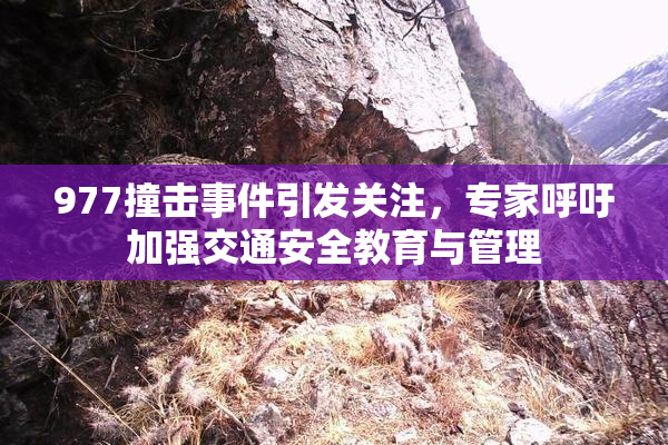 977撞击事件引发关注，专家呼吁加强交通安全教育与管理