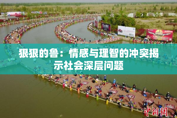 狠狠的鲁：情感与理智的冲突揭示社会深层问题