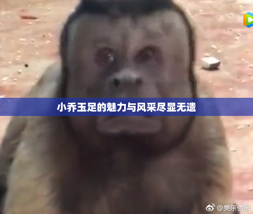 小乔玉足的魅力与风采尽显无遗