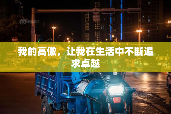 我的高傲，让我在生活中不断追求卓越