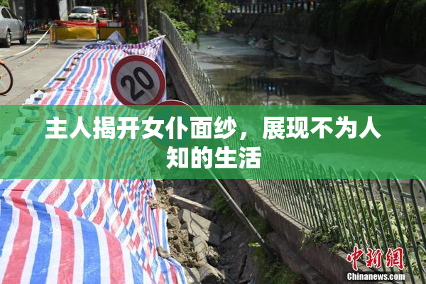 主人揭开女仆面纱，展现不为人知的生活