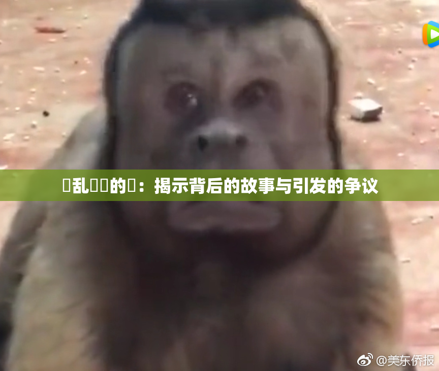 婬乱妺妺的泬：揭示背后的故事与引发的争议