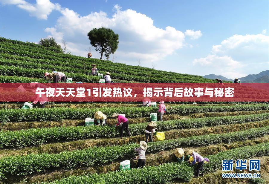 午夜天天堂1引发热议，揭示背后故事与秘密