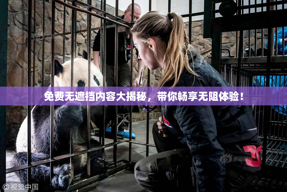 免费无遮挡内容大揭秘，带你畅享无阻体验！