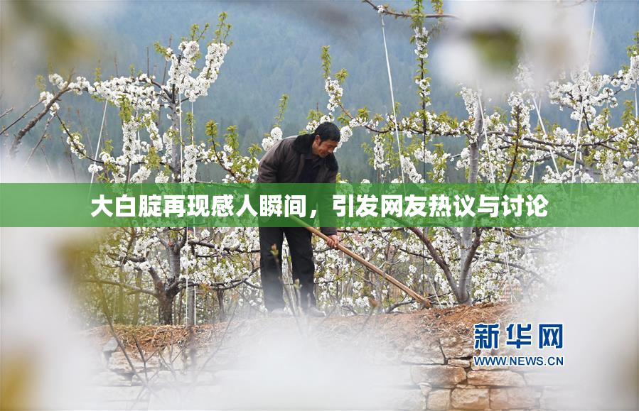 大白腚再现感人瞬间，引发网友热议与讨论