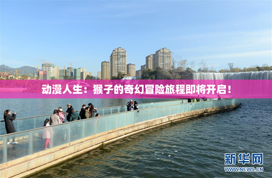 动漫人生：猴子的奇幻冒险旅程即将开启！