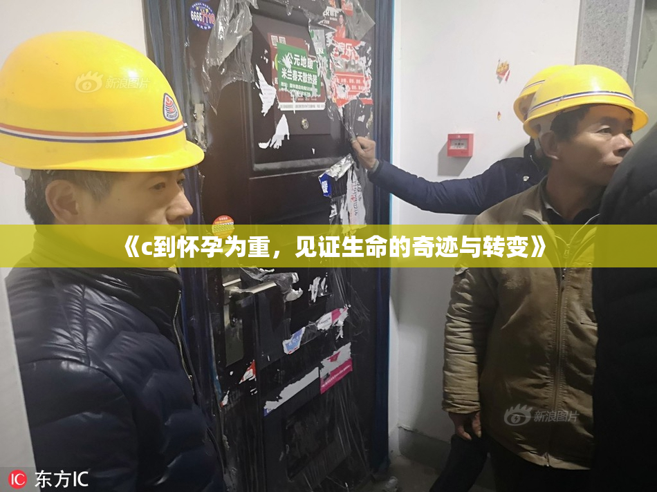 《c到怀孕为重，见证生命的奇迹与转变》