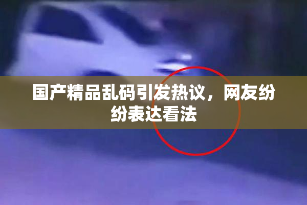 国产精品乱码引发热议，网友纷纷表达看法