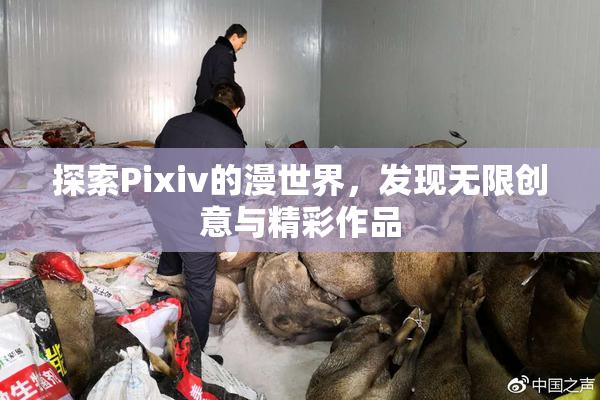 探索Pixiv的漫世界，发现无限创意与精彩作品