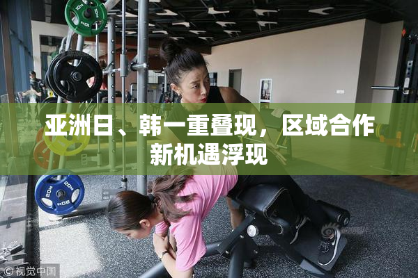 亚洲日、韩一重叠现，区域合作新机遇浮现