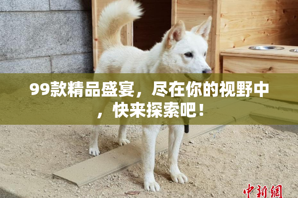99款精品盛宴，尽在你的视野中，快来探索吧！