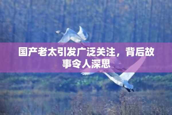 国产老太引发广泛关注，背后故事令人深思
