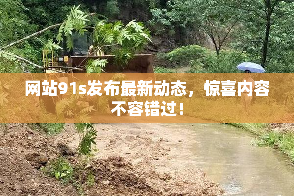 网站91s发布最新动态，惊喜内容不容错过！