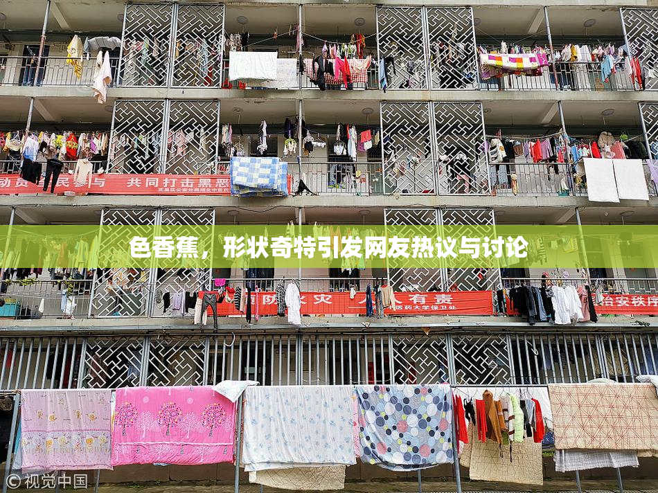色香蕉，形状奇特引发网友热议与讨论