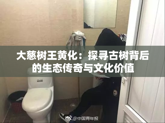 大慈树王黄化：探寻古树背后的生态传奇与文化价值
