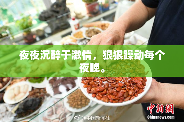 夜夜沉醉于激情，狠狠躁动每个夜晚。