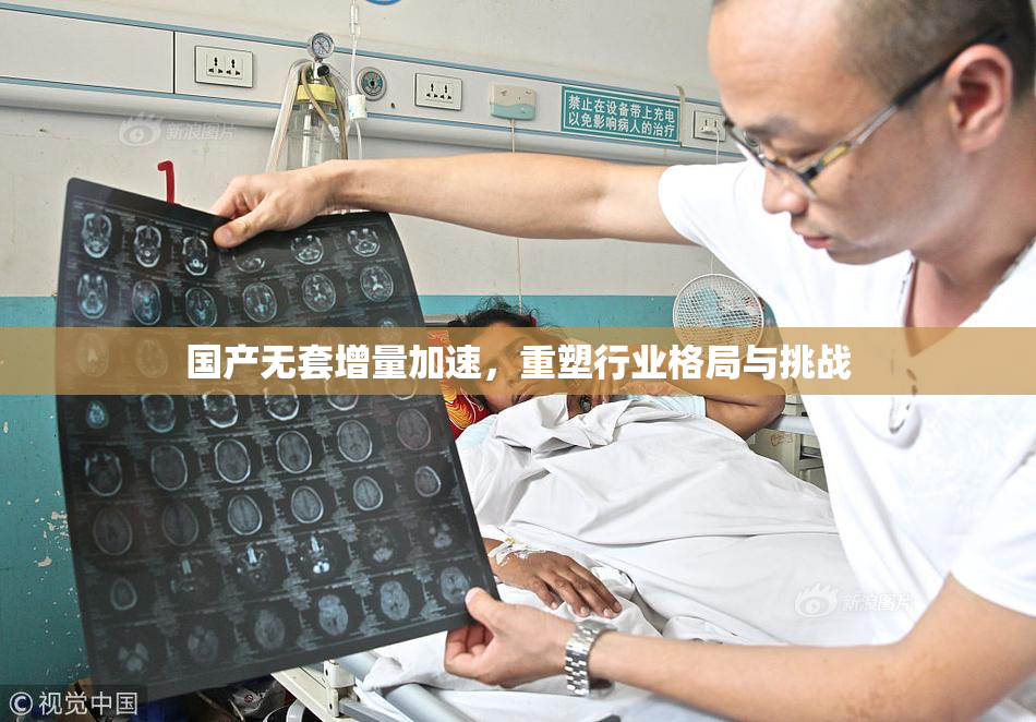 国产无套增量加速，重塑行业格局与挑战