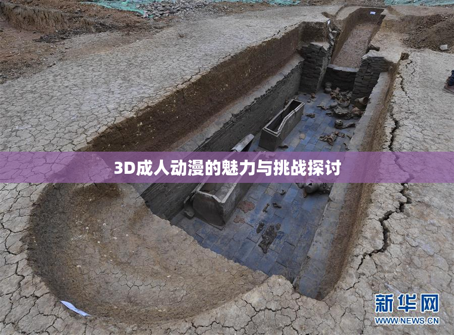 3D成人动漫的魅力与挑战探讨