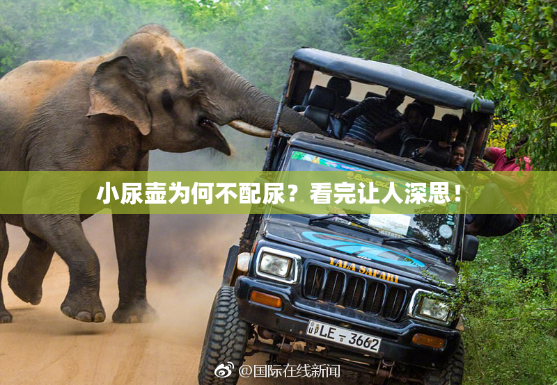 小尿壶为何不配尿？看完让人深思！