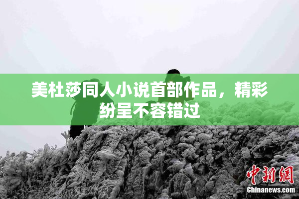 美杜莎同人小说首部作品，精彩纷呈不容错过
