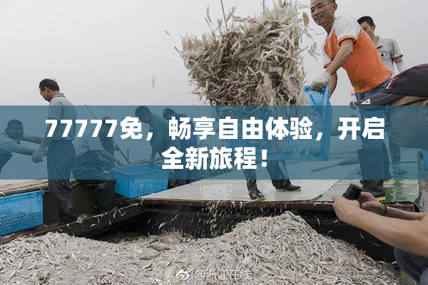 77777免，畅享自由体验，开启全新旅程！