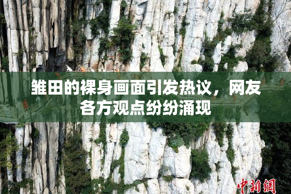雏田的裸身画面引发热议，网友各方观点纷纷涌现