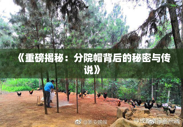 《重磅揭秘：分院帽背后的秘密与传说》