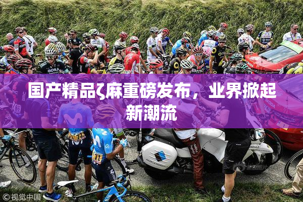 国产精品ζ麻重磅发布，业界掀起新潮流