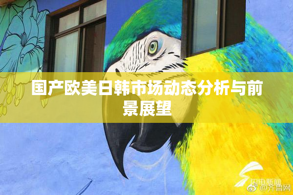 国产欧美日韩市场动态分析与前景展望