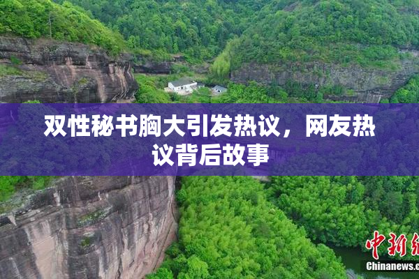 双性秘书胸大引发热议，网友热议背后故事