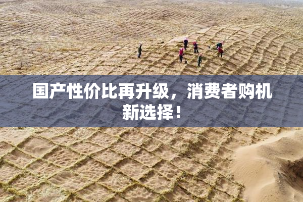 国产性价比再升级，消费者购机新选择！