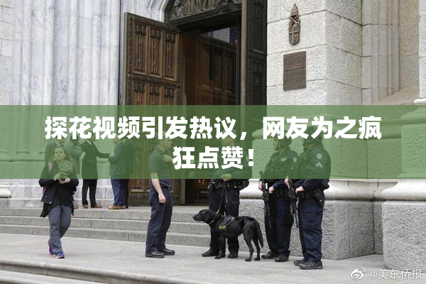 探花视频引发热议，网友为之疯狂点赞！