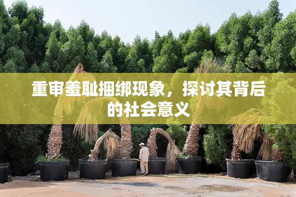 重审羞耻捆绑现象，探讨其背后的社会意义
