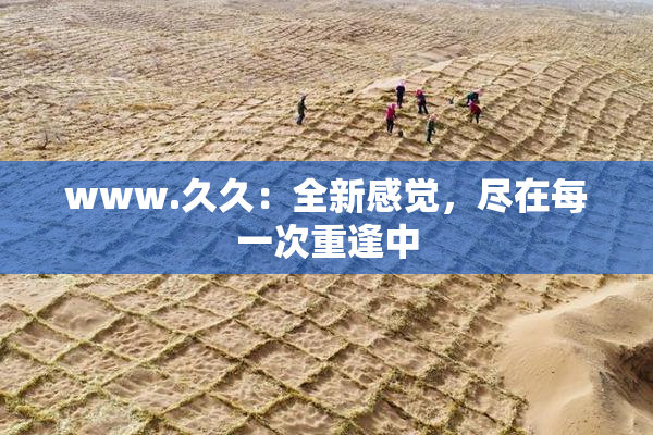 www.久久：全新感觉，尽在每一次重逢中