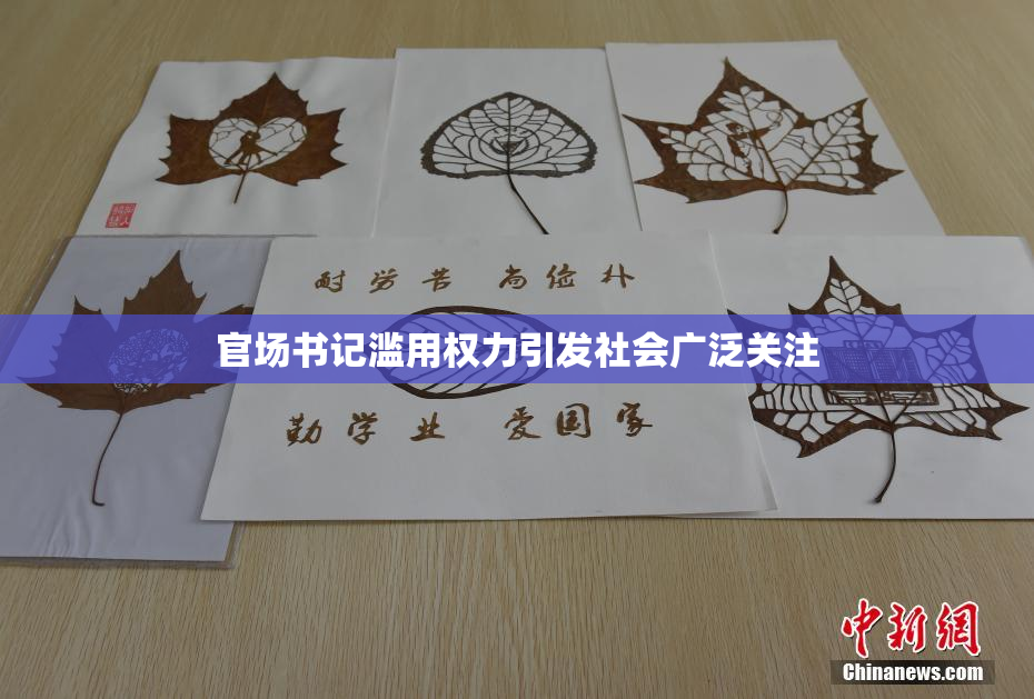 官场书记滥用权力引发社会广泛关注