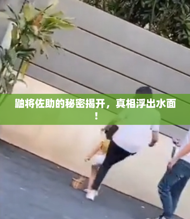 鼬将佐助的秘密揭开，真相浮出水面！